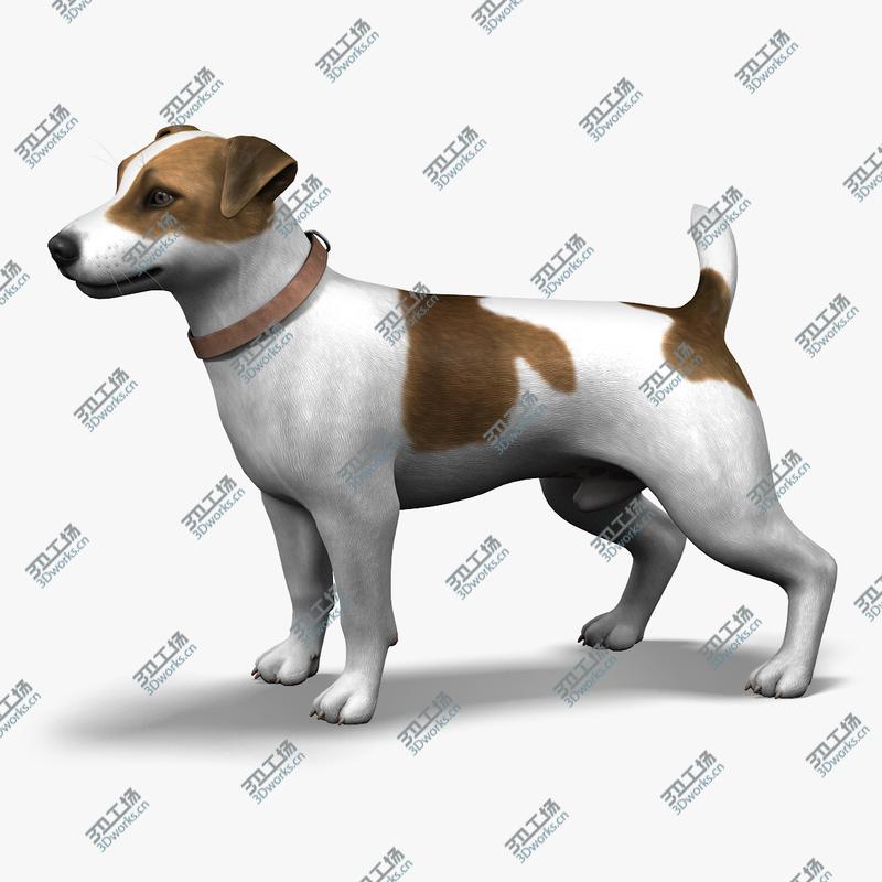 images/goods_img/202105073/Dog_JRT_lite/1.jpg