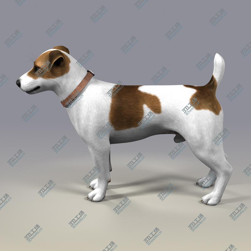 images/goods_img/202105073/Dog_JRT_lite/2.jpg