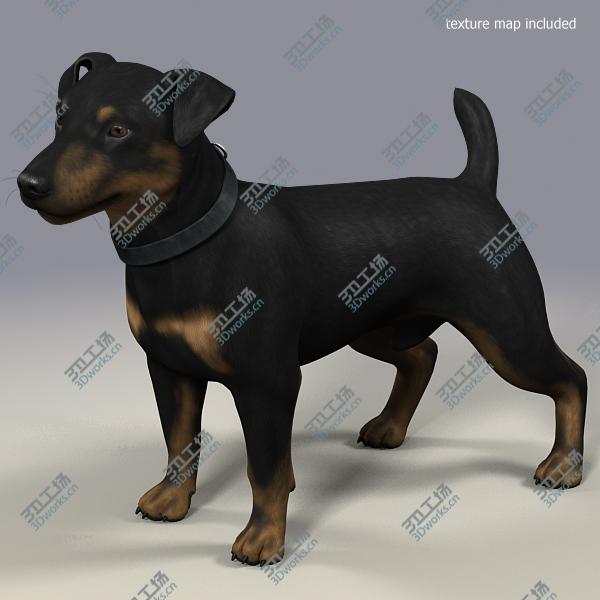 images/goods_img/202105073/Dog_JRT_lite/5.jpg