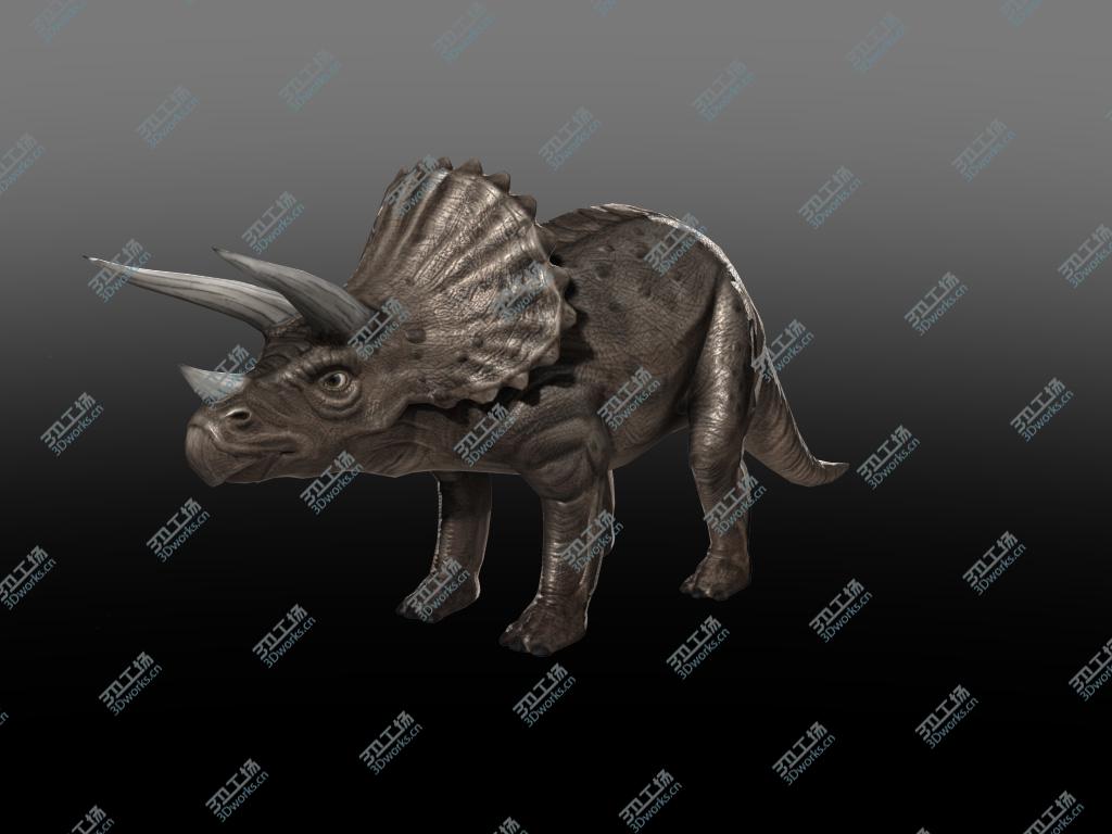 images/goods_img/202105073/Triceratops/2.jpg