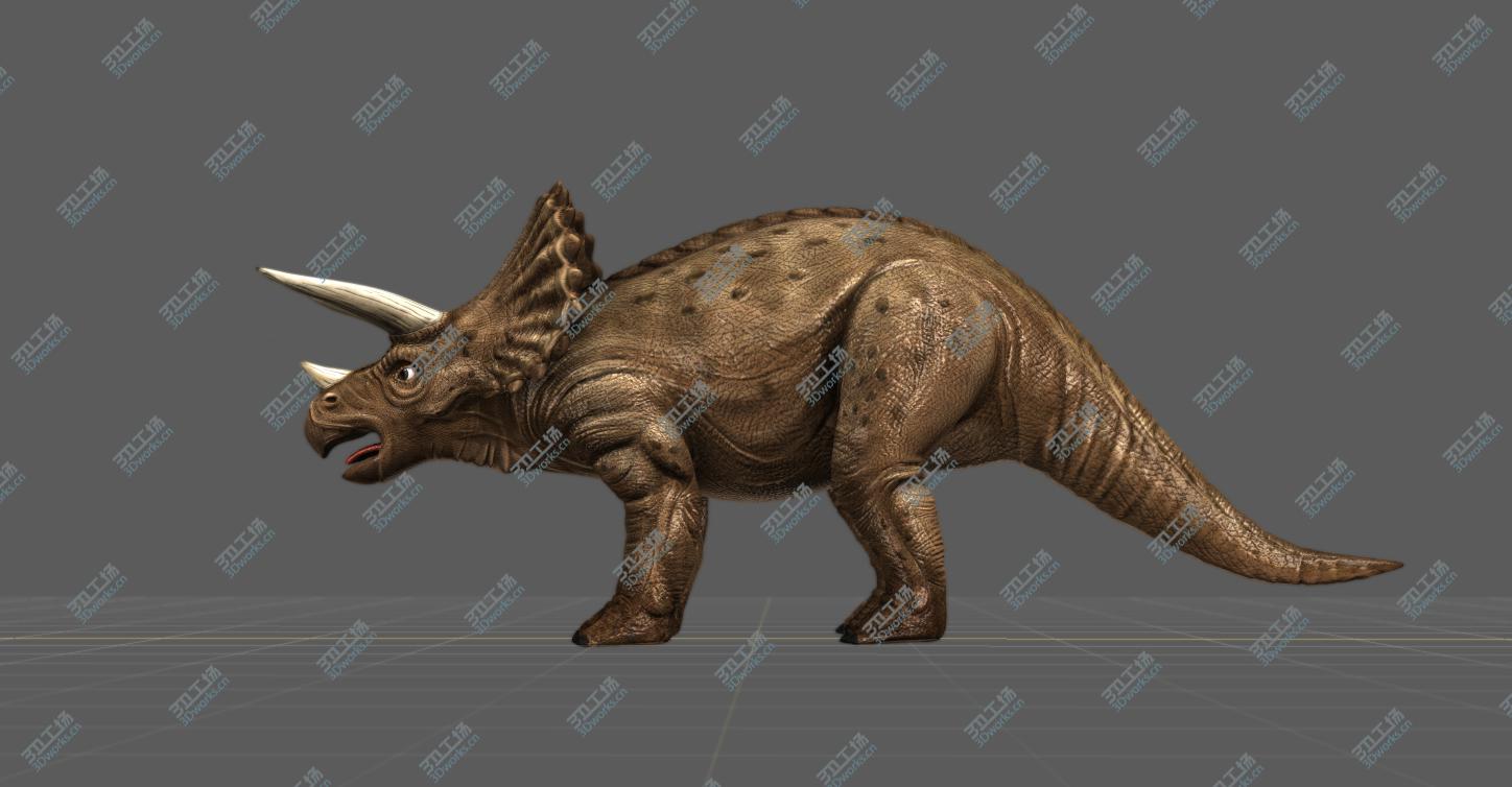 images/goods_img/202105073/Triceratops/3.jpg