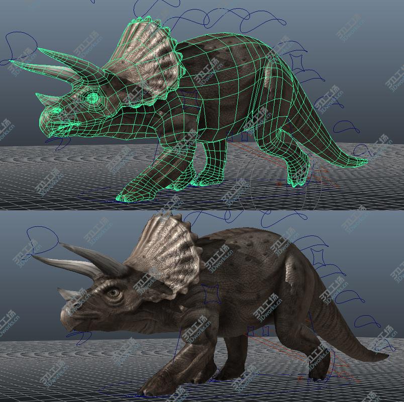 images/goods_img/202105073/Triceratops/4.jpg