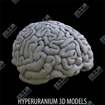 images/goods_img/202105074/BRAIN/2.jpg