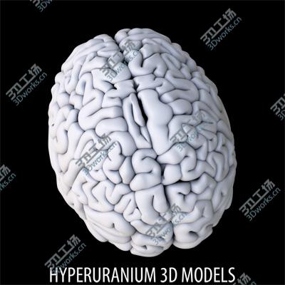 images/goods_img/202105074/BRAIN/3.jpg