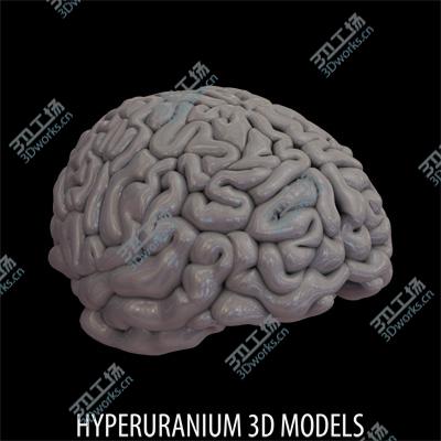 images/goods_img/202105074/BRAIN/4.jpg
