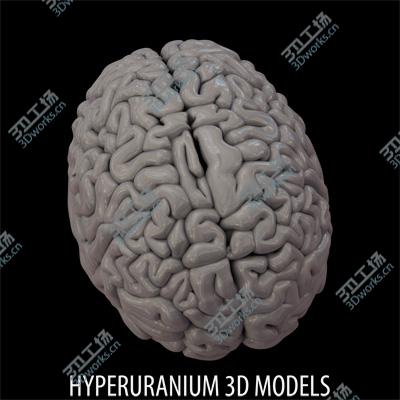 images/goods_img/202105074/BRAIN/5.jpg