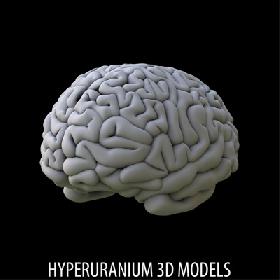 BRAIN