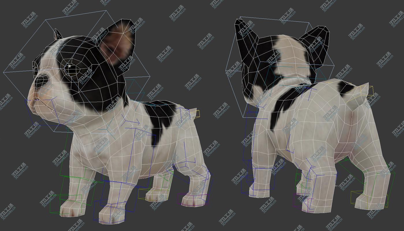 images/goods_img/202105074/Puppy/2.jpg