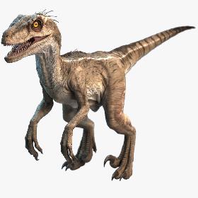 Raptor