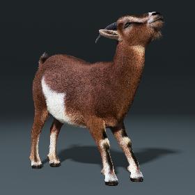 Goat(FUR)(RIGGED)