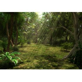 Jungle